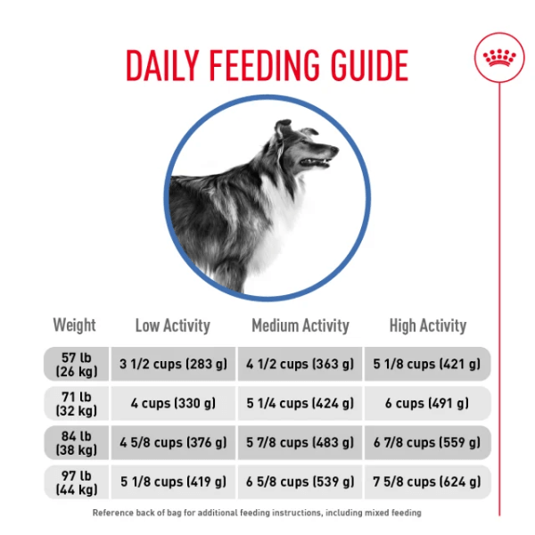 Royal Canin Royal Canin Large Adult Weight Care Dry Dog Food, 30lb