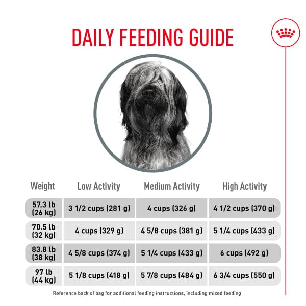 Royal Canin Royal Canin Large Breed Dental Care Dry Dog Food, 30lb