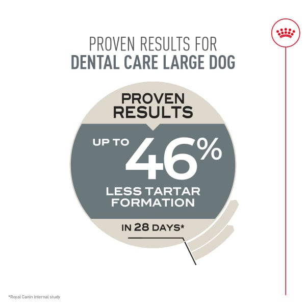 Royal Canin Royal Canin Large Breed Dental Care Dry Dog Food, 30lb