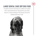 Royal Canin Royal Canin Large Breed Dental Care Dry Dog Food, 30lb