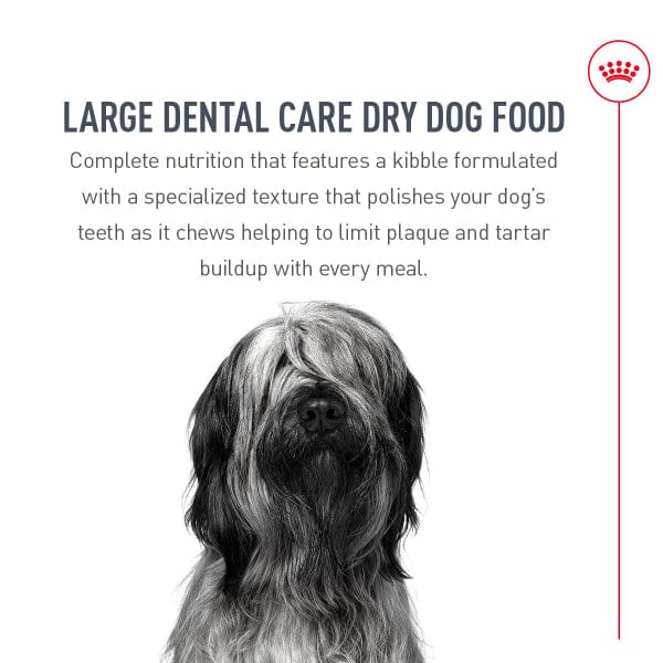 Royal Canin Royal Canin Large Breed Dental Care Dry Dog Food, 30lb