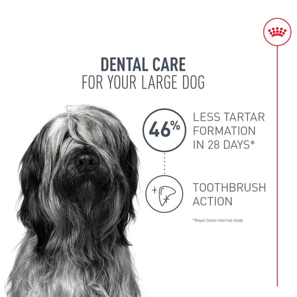 Royal Canin Royal Canin Large Breed Dental Care Dry Dog Food, 30lb