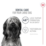 Royal Canin Royal Canin Large Breed Dental Care Dry Dog Food, 30lb