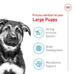Royal Canin Royal Canin Large Puppy Dry Dog Food