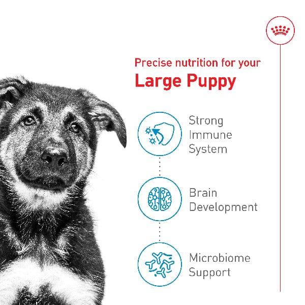 Royal Canin Royal Canin Large Puppy Dry Dog Food