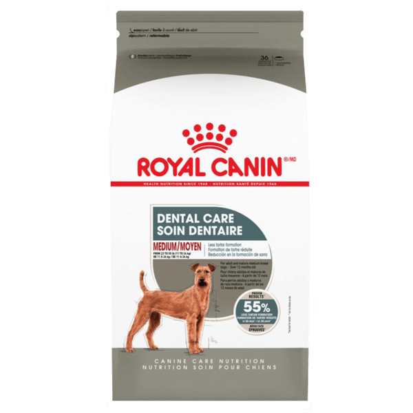 Royal Canin Royal Canin Medium Adult Dental Care Dry Dog Food