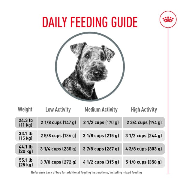 Royal Canin Royal Canin Medium Adult Dental Care Dry Dog Food, 28lb