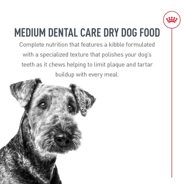 Royal Canin Royal Canin Medium Adult Dental Care Dry Dog Food, 28lb