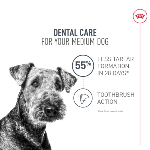 Royal Canin Royal Canin Medium Adult Dental Care Dry Dog Food, 28lb
