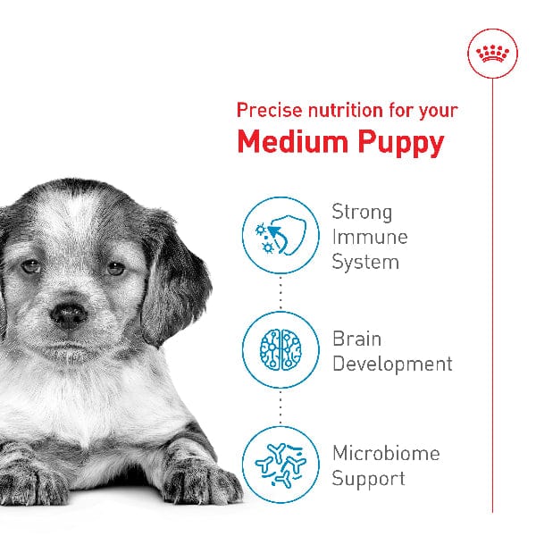 Royal Canin Mini Puppy | 12 x 85 g | Nassfutter für kleine Hundewelpen | Bis zum 10. Lebensmonat Royal Canin Mini Puppy | 12 x 85 g | Nassfutter für kleine Hundewelpen | Bis zum 10. Lebensmonat