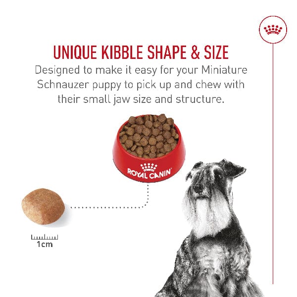 Royal Canin Royal Canin Miniature Schnauzer Adult Dry Dog Food, 10lb