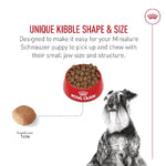 Royal Canin Royal Canin Miniature Schnauzer Adult Dry Dog Food, 10lb