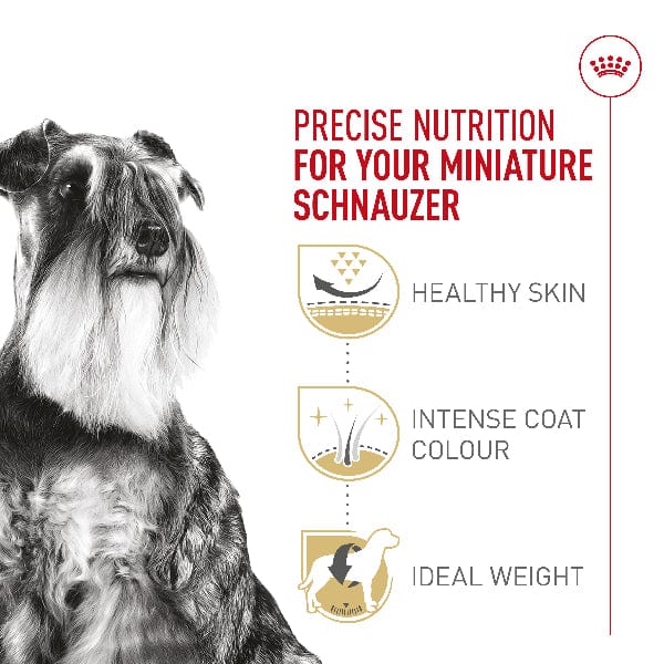 Royal Canin Royal Canin Miniature Schnauzer Adult Dry Dog Food, 10lb