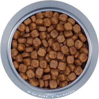 Royal Canin Royal Canin Poodle Adult Dry Dog Food, 10lb