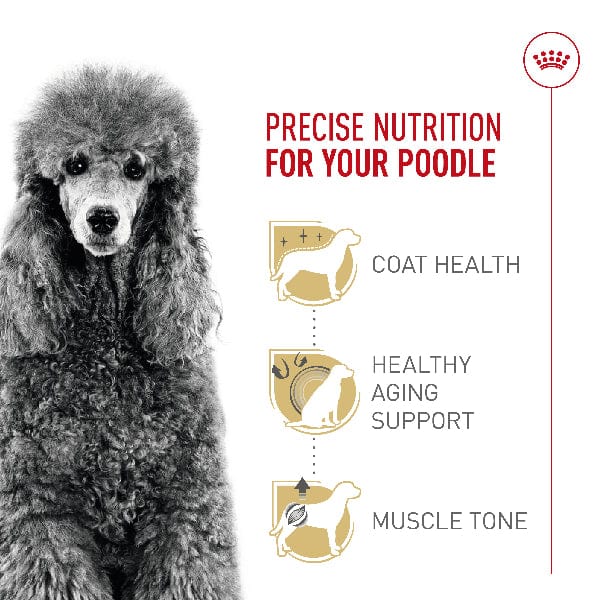 Royal Canin Royal Canin Poodle Adult Dry Dog Food