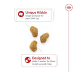 Royal Canin Royal Canin Shih Tzu Adult Dry Dog Food