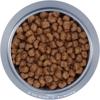 Royal Canin Royal Canin Shih Tzu Adult Dry Dog Food