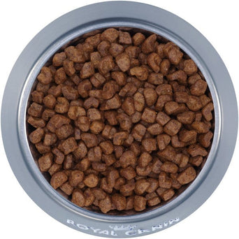 Royal Canin Royal Canin Shih Tzu Puppy Dry Dog Food, 2.5lb