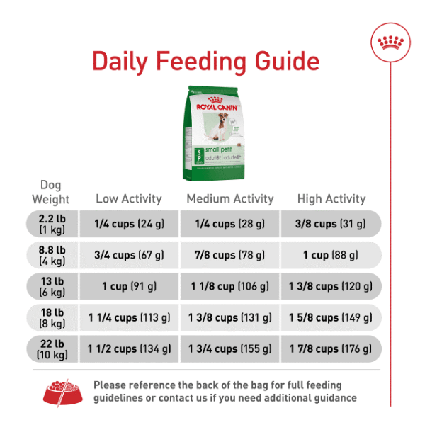 Royal Canin Royal Canin Small Adult 8+ Dry Dog Food