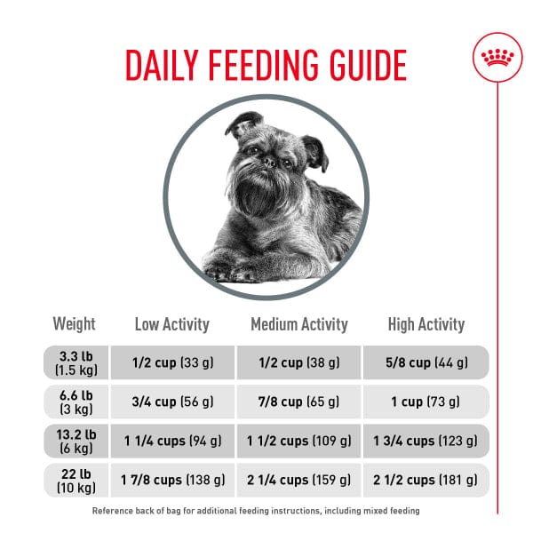 Royal Canin Royal Canin Small Adult Dental Care Dry Dog Food