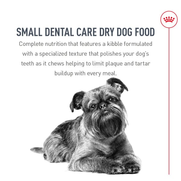 Royal Canin Royal Canin Small Adult Dental Care Dry Dog Food