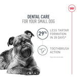 Royal Canin Royal Canin Small Adult Dental Care Dry Dog Food