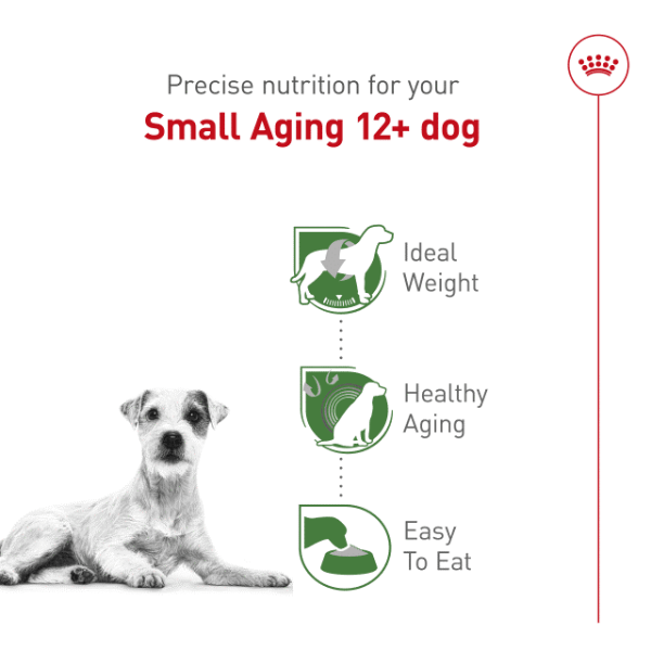 Royal Canin Royal Canin Small Aging 12+ Dry Dog Food, 2.5lb