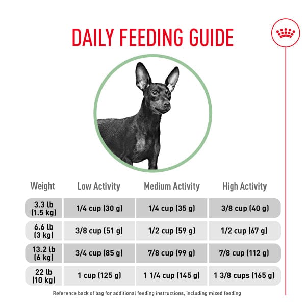 Royal Canin Royal Canin Small Digestive Care Dry Dog Food