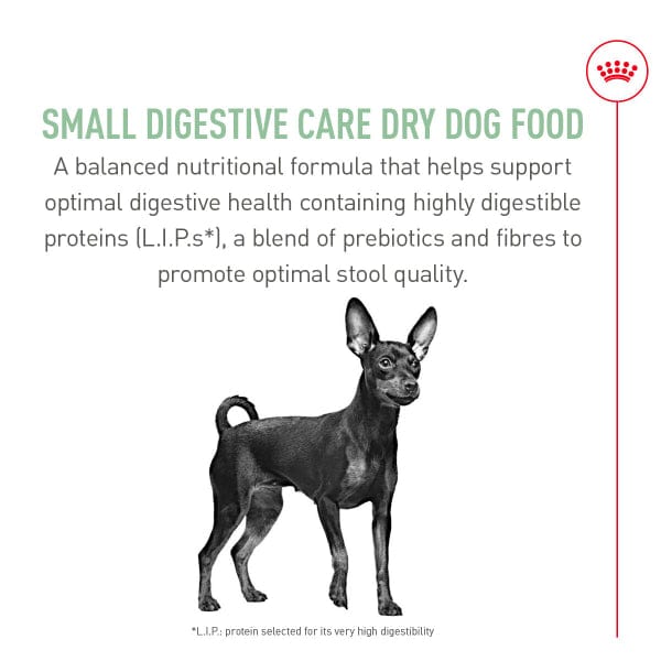 Royal Canin Royal Canin Small Digestive Care Dry Dog Food