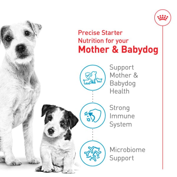 Royal Canin Royal Canin Small Starter Mother & Babydog Dry Dog Food, 2.5lb