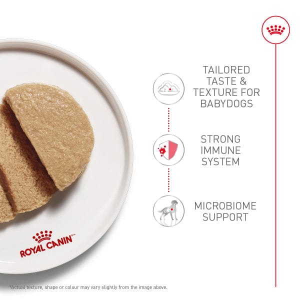 Royal Canin Royal Canin Starter Mother & Babydog Mousse in Sauce Canned Dog Food, 145g