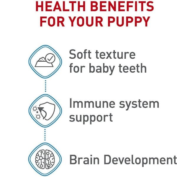 Puppy starter mousse outlet