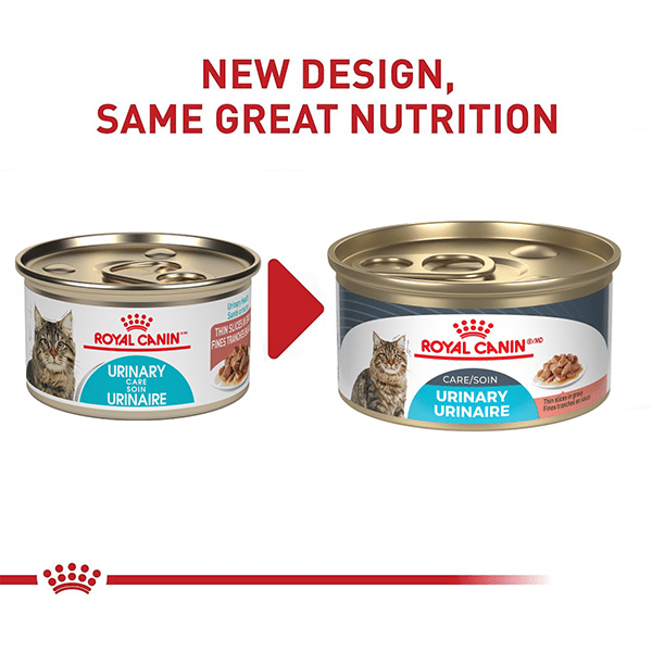 Royal canin sales urinary care cat