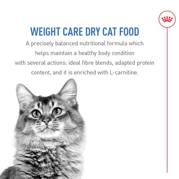 Royal Canin Weight Care Adult Dry Cat Food Petland Canada Royal Canin Weight Care Adult Dry Cat Food Petland Canada