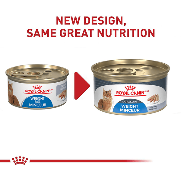 Canned cat best sale food on sale