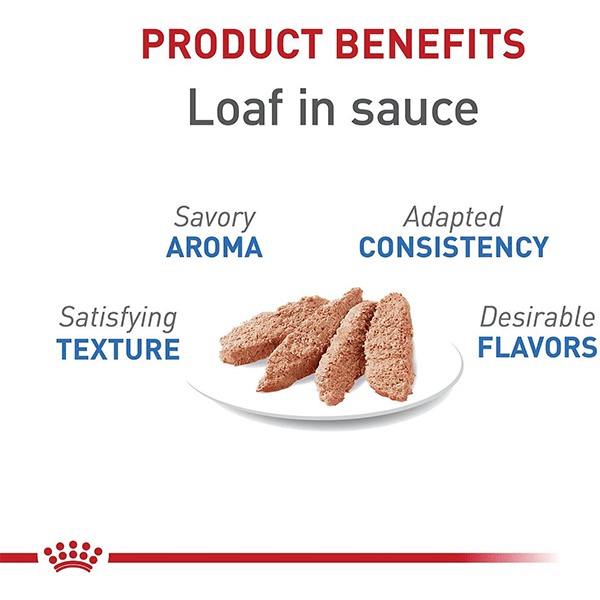 Royal Canin Royal Canin Weight Care Loaf in Sauce Canned Cat Food