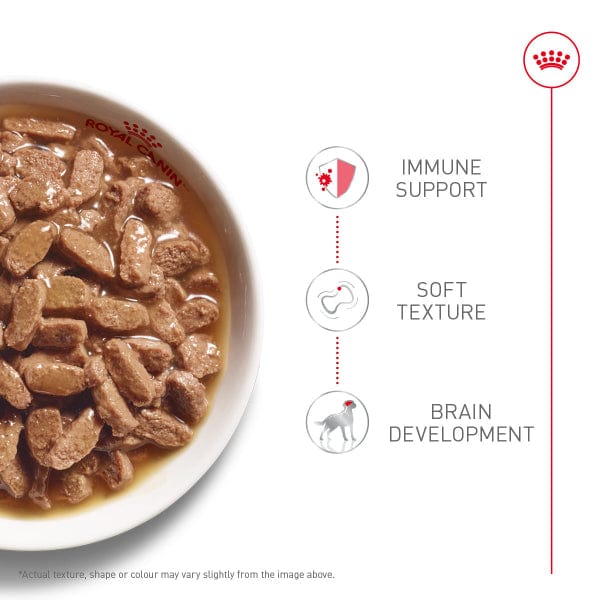 Royal Canin Royal Canin X-Small Puppy Thin Slices in Gravy Canned Dog Food, 85g