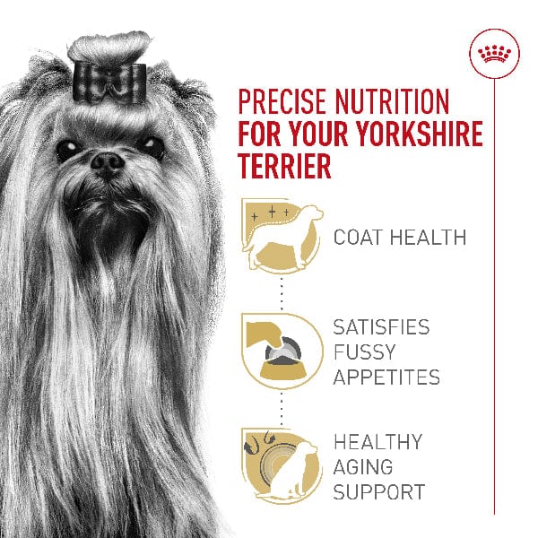 Royal Canin Yorkshire Terrier Dry Dog Food – Petland Canada
