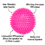 Royal Pet Inc. Gnawsome Extra Large Squeaker Ball