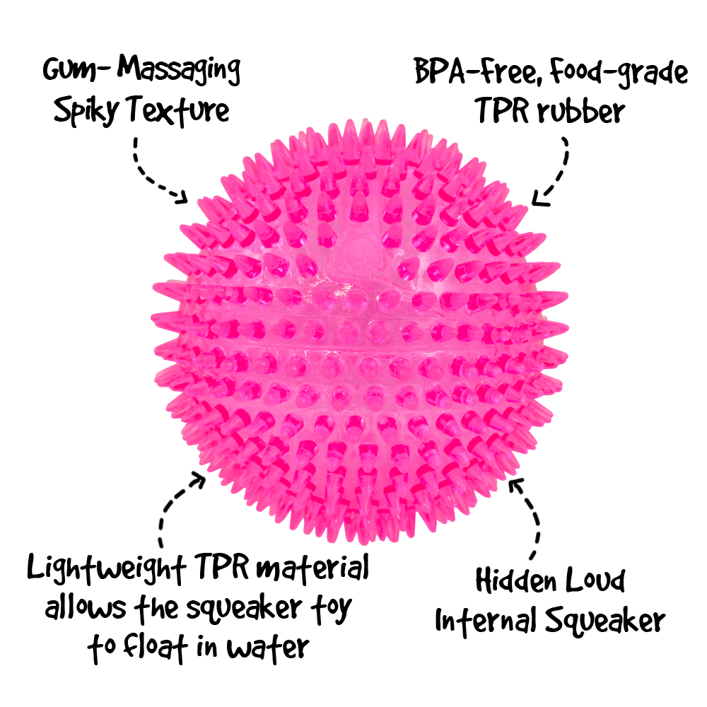 Royal Pet Inc. Gnawsome Extra Large Squeaker Ball
