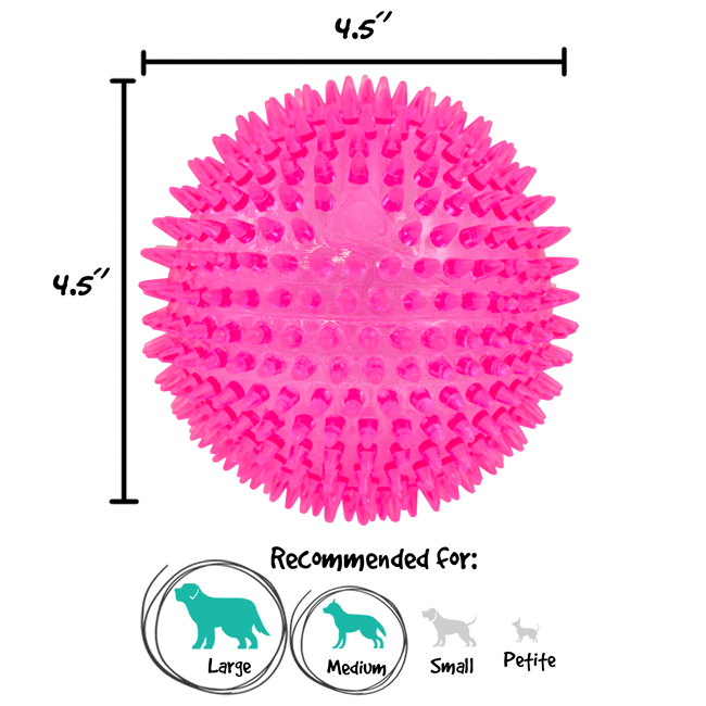 Royal Pet Inc. Gnawsome Extra Large Squeaker Ball