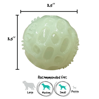 Royal Pet Inc. Gnawsome Glow in the Dark Squeaker Ball