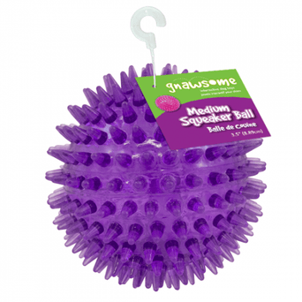 Royal Pet Inc. Gnawsome Medium Squeaker Ball