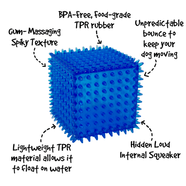 Royal Pet Inc. Gnawsome Spiky Squeaker Cube Dog Toy