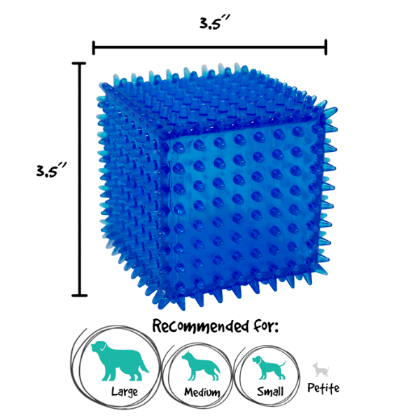 Gnawsome Spiky Squeaker Cube Dog Toy – Petland Canada