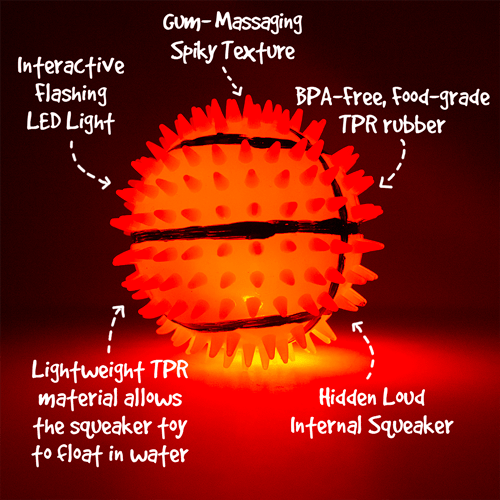 Royal Pet Inc. Gnawsome Squeak & Light Basketball