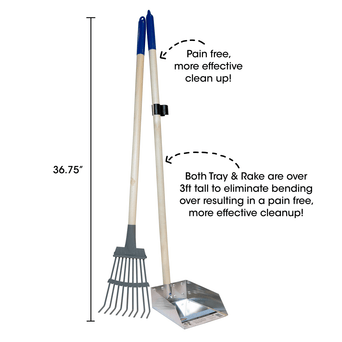 Royal Pet Inc. Spotty Tray & Rake