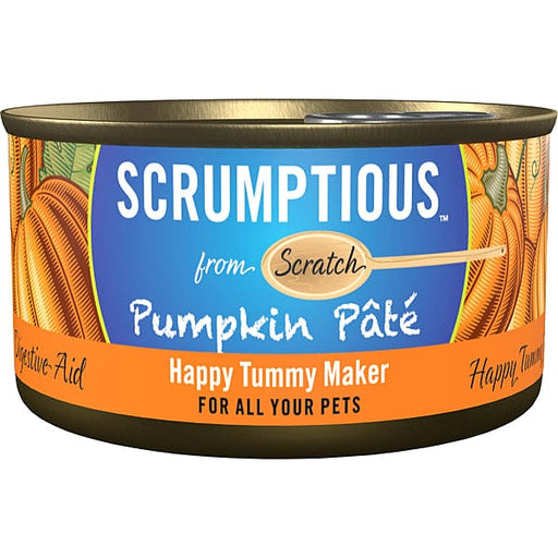 Scrumptious Pumpkin Pate For Dogs & Cats