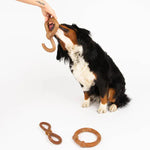Silver Paw Silver Paw Bambooz Recycled Bamboo Fiber Dog Toys 3-Pack; Large