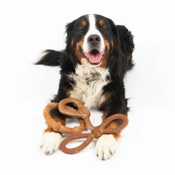Silver Paw Silver Paw Bambooz Recycled Bamboo Fiber Dog Toys 3-Pack; Large
